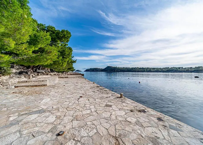 Apartment 2 Bedroom In Karbuni Potirna